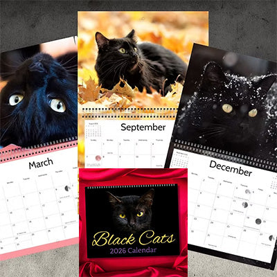 2026 Black Cat Calendar Mythical Collectibles Calendars