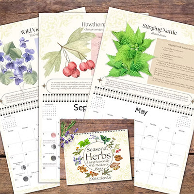 2026 Seasonal Herbs Calendar Mythical Collectibles Calendars