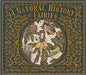 Natural History of Fairies (hc) Hawkins & Roux Books