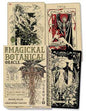 Magickal Botanical Oracle Cards Miller & Penczak Tarot Cards