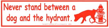 Never Stand Between a Dog and the Hydrant Bumper Sticker Mythical Collectibles Bumper Stickers