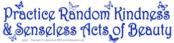 Practice Random Kindness & Senseless Acts of Beauty Bumper Sticker Mythical Collectibles Bumper Stickers
