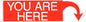 You Are Here Bumper Sticker Mythical Collectibles Bumper Stickers