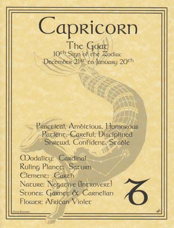 Capricorn Zodiac Poster Mythical Collectibles Posters