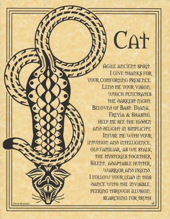 Cat Prayer Poster Mythical Collectibles Posters