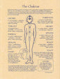 Chakras Poster Mythical Collectibles Posters