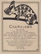 Chameleon Prayer Poster Mythical Collectibles Posters
