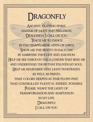 Dragonfly Poster Mythical Collectibles Posters
