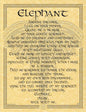 Elephant Prayer Poster Mythical Collectibles Posters