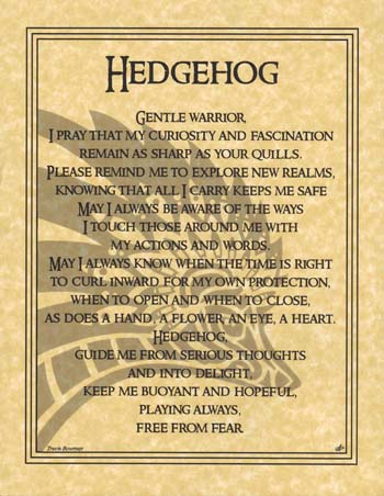 Hedgehog Prayer Poster Mythical Collectibles Posters
