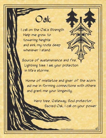 Oak Poster Mythical Collectibles Posters