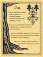 Oak Poster Mythical Collectibles Posters