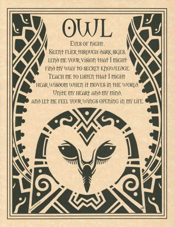 Owl Poster Mythical Collectibles Posters