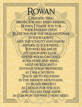 Rowan Tree Poster Mythical Collectibles Posters