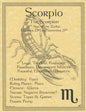 Scorpio Zodiac Poster Mythical Collectibles Posters