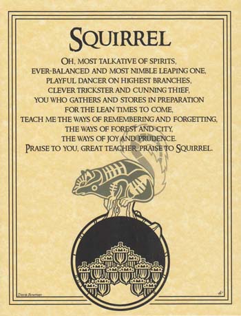 Squirrel Prayer Poster Mythical Collectibles Posters