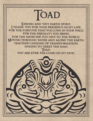 Toad Blessing Poster Mythical Collectibles Posters