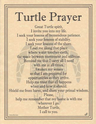 Turtle Prayer Poster Mythical Collectibles Posters