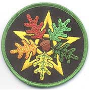 Oak Leaf Pentagram Iron-on Patch Mythical Collectibles Clothing Patches