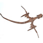 Brown Dragon Hand Pet Mythical Collectibles