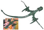 Green Dragon Hand Pet Mythical Collectibles